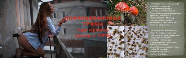 молекула духа Арсеньев