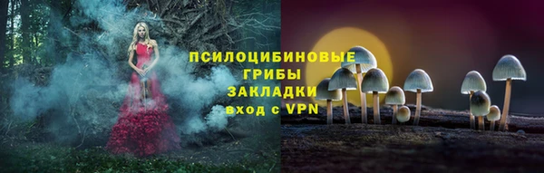 винт Армянск