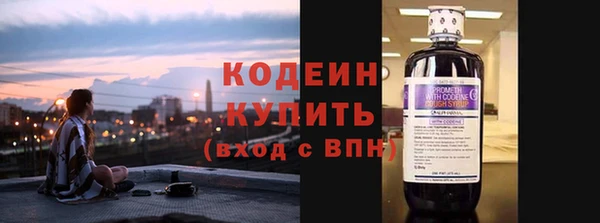 молекула духа Арсеньев