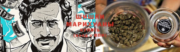 винт Армянск