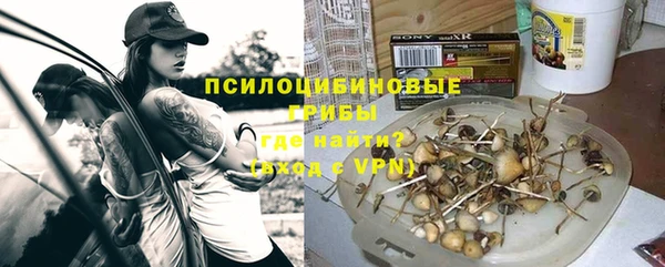 винт Армянск