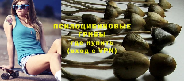 винт Армянск