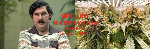 молекула духа Арсеньев